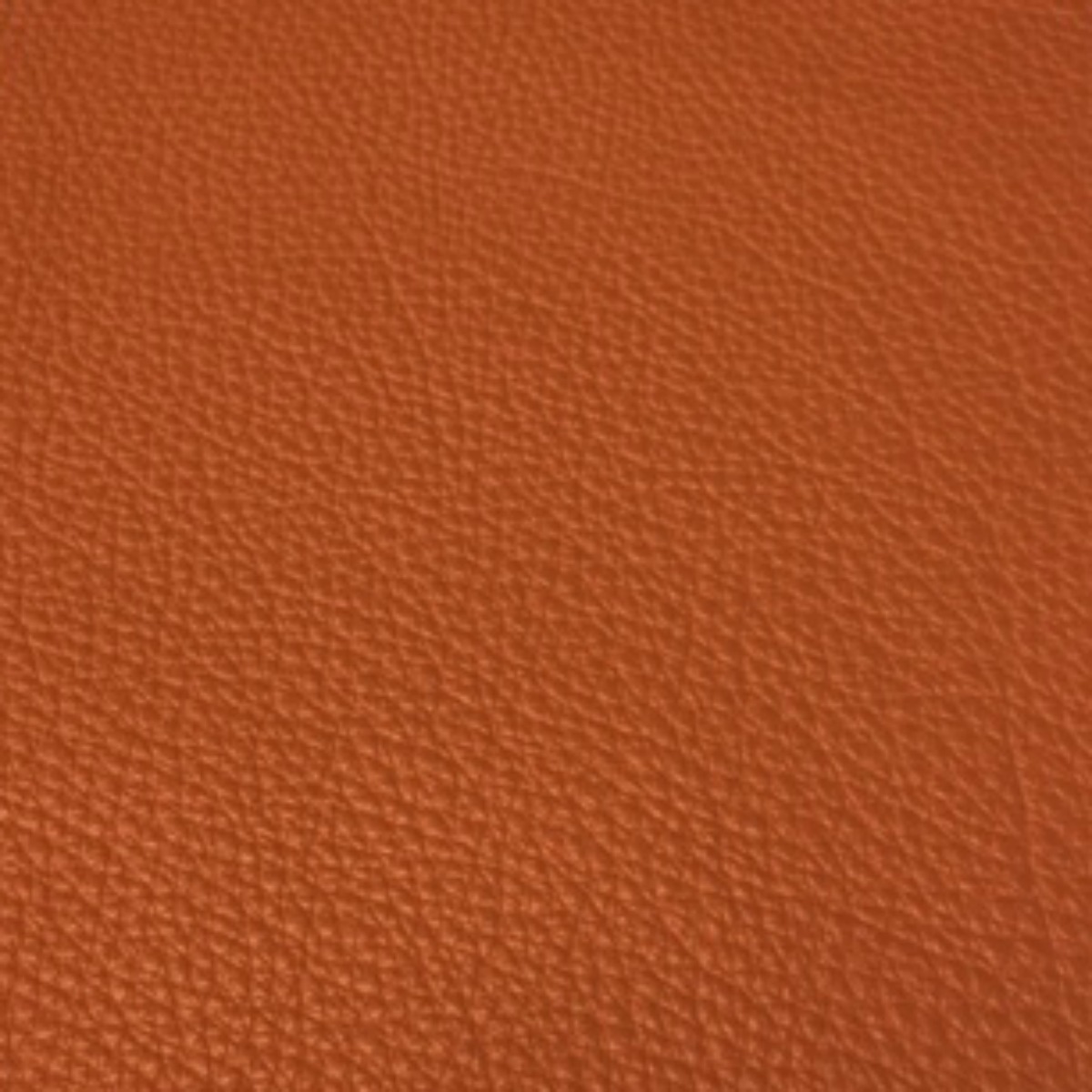 Mountbatten Collection Coral