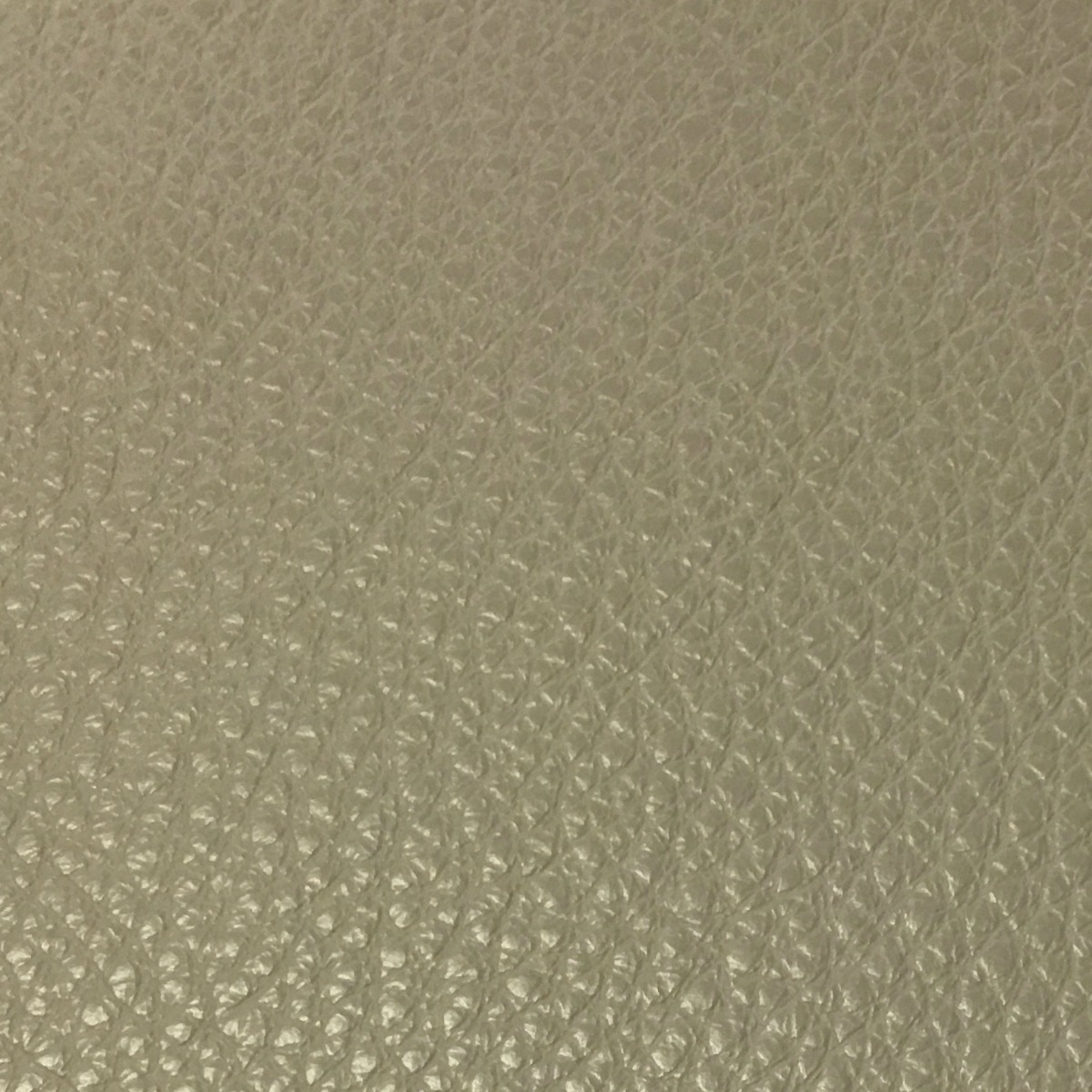 Textured upholstery leather - 11018 Taupe Mountbatten