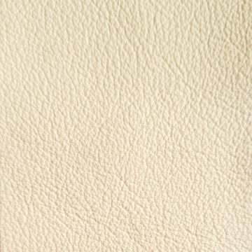 Buckingham Parchment 13005