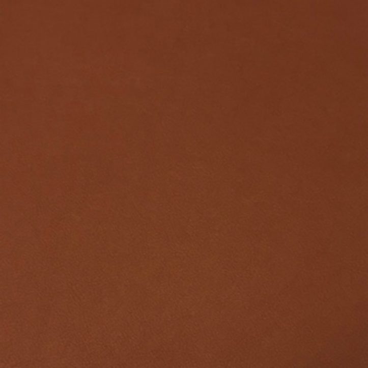 Buckingham 13047 Toffee Apple UK Hide