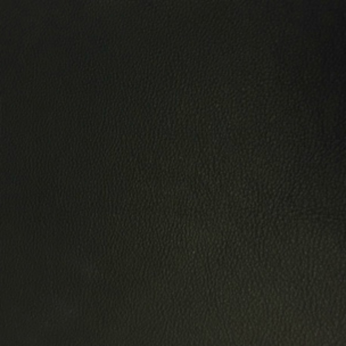 Buckingham Collection Coal