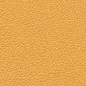 Boxmark Royal Sun