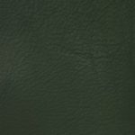 Autolux Automotive leather Green
