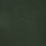 Autolux Automotive leather Green