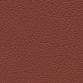 Boxmark Royal Auburn