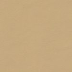 Bentley Automotive leather Saffron