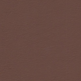 Bentley Automotive leather Cognac