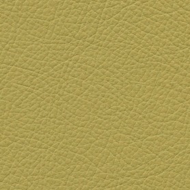 Boxmark Royal Pistachio