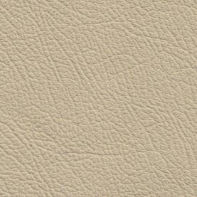 Embossed Full Grain Parchment MB leather
