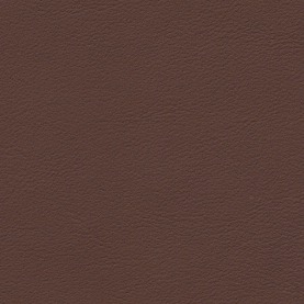Full Grain Nappa Nougat Brown Audi leather