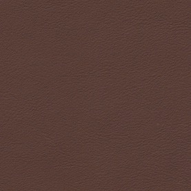 Full Grain Nappa Nougat Brown Audi leather