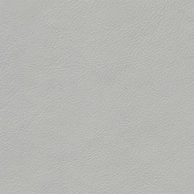 Full Grain Nappa Silver Star Audi leather