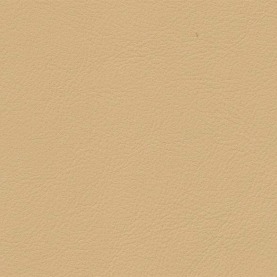 Full Grain Nappa Valcona Anise Audi leather