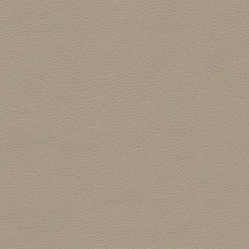 Full Grain Nappa Valcona Beige Audi leather