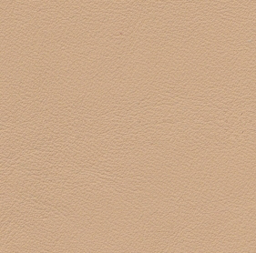 Autolux Champagne - smooth automotive leather