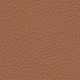 Basis Audi leather