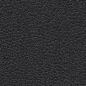 Basis black BMW leather