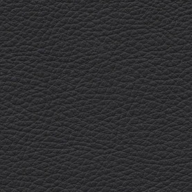 Basis SA black BMW leather