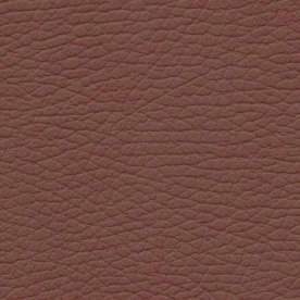 Basis Chestnut BMW leather