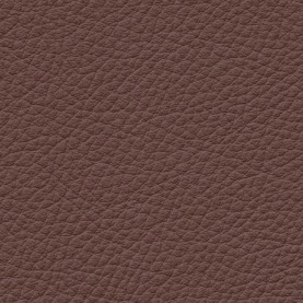 Basis Cinnamon Brown BMW leather