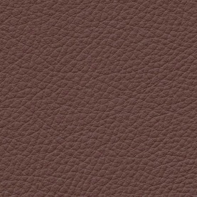 Basis Cinnamon Brown BMW leather