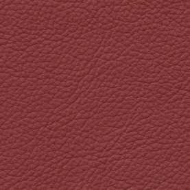 Basis Classic Red BMW leather