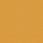 Basis Corn Yellow BMW leather