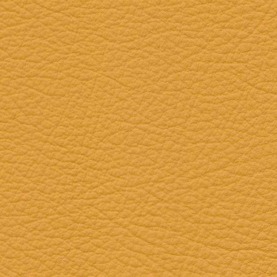 Basis Corn Yellow BMW leather