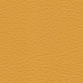 Basis Corn Yellow BMW leather