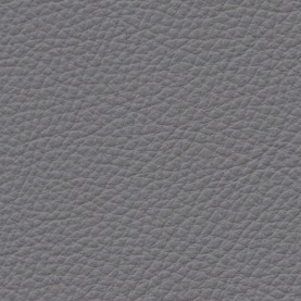 Basis Dakota Grey BMW leather