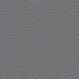 Basis Dakota Grey BMW leather