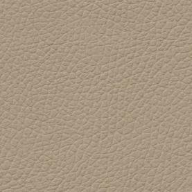 Basis Savannah Beige BMW leather