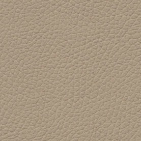 Basis Savannah Beige BMW leather