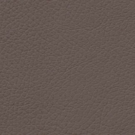 Basis Dakota Truffle Brown BMW leather