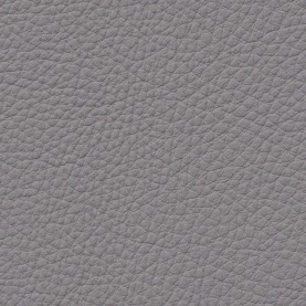 Basis Everest Grey BMW leather