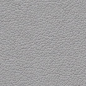 Basis Light Grey BMW leather