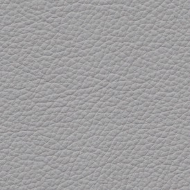 Basis Light Grey BMW leather