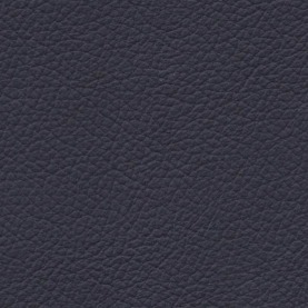 Basis Marine Blue BMW leather
