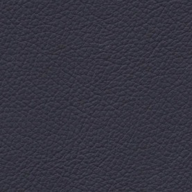 Basis Marine Blue BMW leather