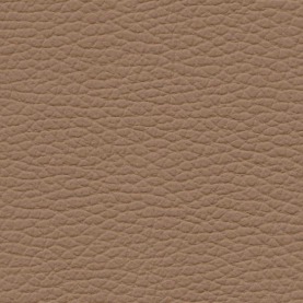 Basis Natural Brown BMW leather