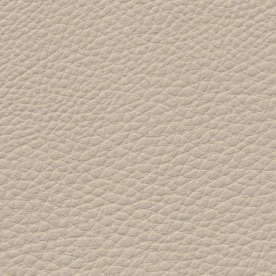 Basis Sahara Beige BMW leather