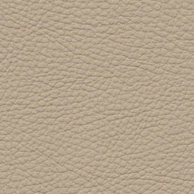Basis Veneto Beige BMW leather