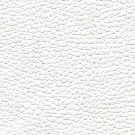 Basis Mercedes Benz pure white leather