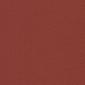 Basis Tec Cologne