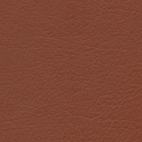 Basis Tec Roma