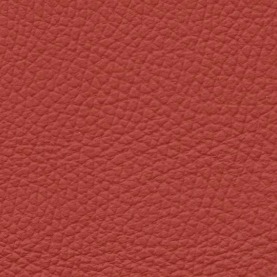 Basis Tropic Orange VW leather