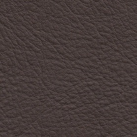 Classic Bronze Automotive leather