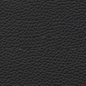 Prince Vinyl Black