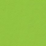 Full Grain Nappa Verde Ulysses Lamborghini leather