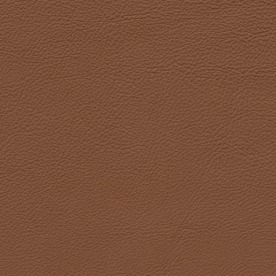 Full Grain Nappa Tan MB leather